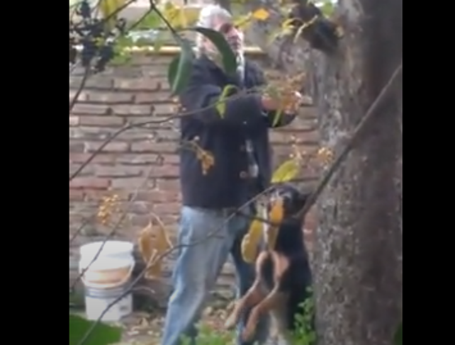Un hombre de Fray Luis Beltrán fue filmado ahorcando a un perro
