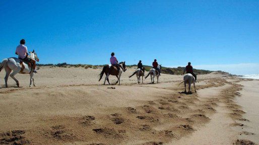 Turismo: una ruta de acantilados y playas inmensas