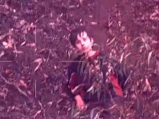 Tras cuatro días perdido en el bosque, un niño autista encontró a sus padres
