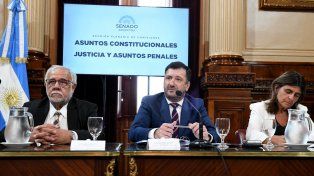 El proyecto de Boleta Única de Papel logró dictamen en comisiones del Senado