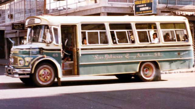 Los busólogos rosarinos cumplen 20 años: bichos raros y son varios