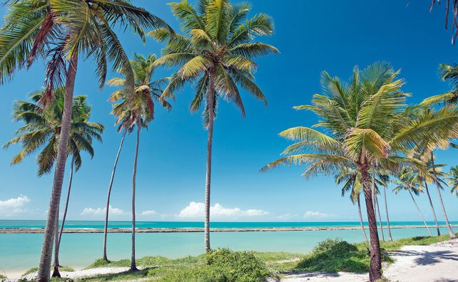 Porto de Galinhas: playas Inexploradas y experiencias únicas