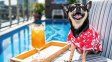 Claves para que el turismo pet friendly sea una experiencia exitosa