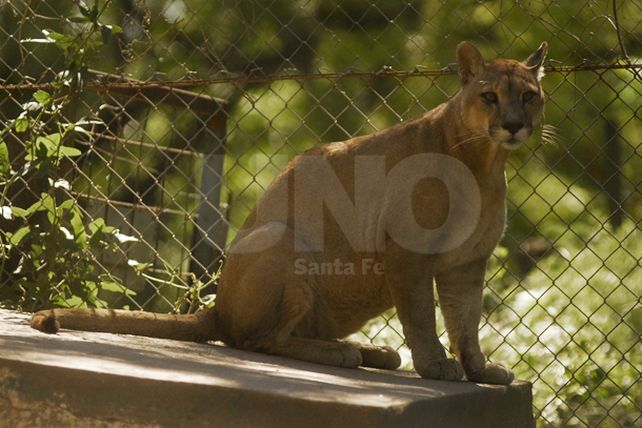 Desde la Granja aseguran que los animales están bien atendidos