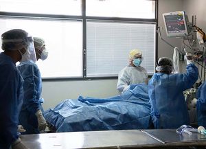 Coronavirus: este martes reportaron 33.902 casos y 20 muertes