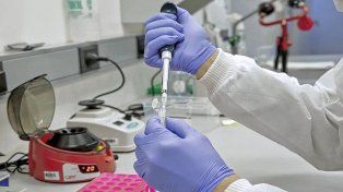 Delitos sexuales: la ley que amplía el registro de datos genéticos y ADN de violadores se promulgó