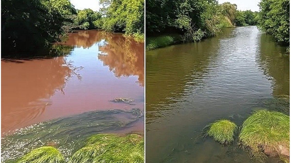 Las lluvias intensas generan pulsos tóxicos en afluentes del río Paraná