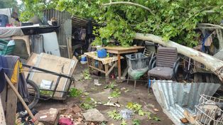 Un árbol cayó sobre el techo y destruyó una vivienda precaria en la zona sur