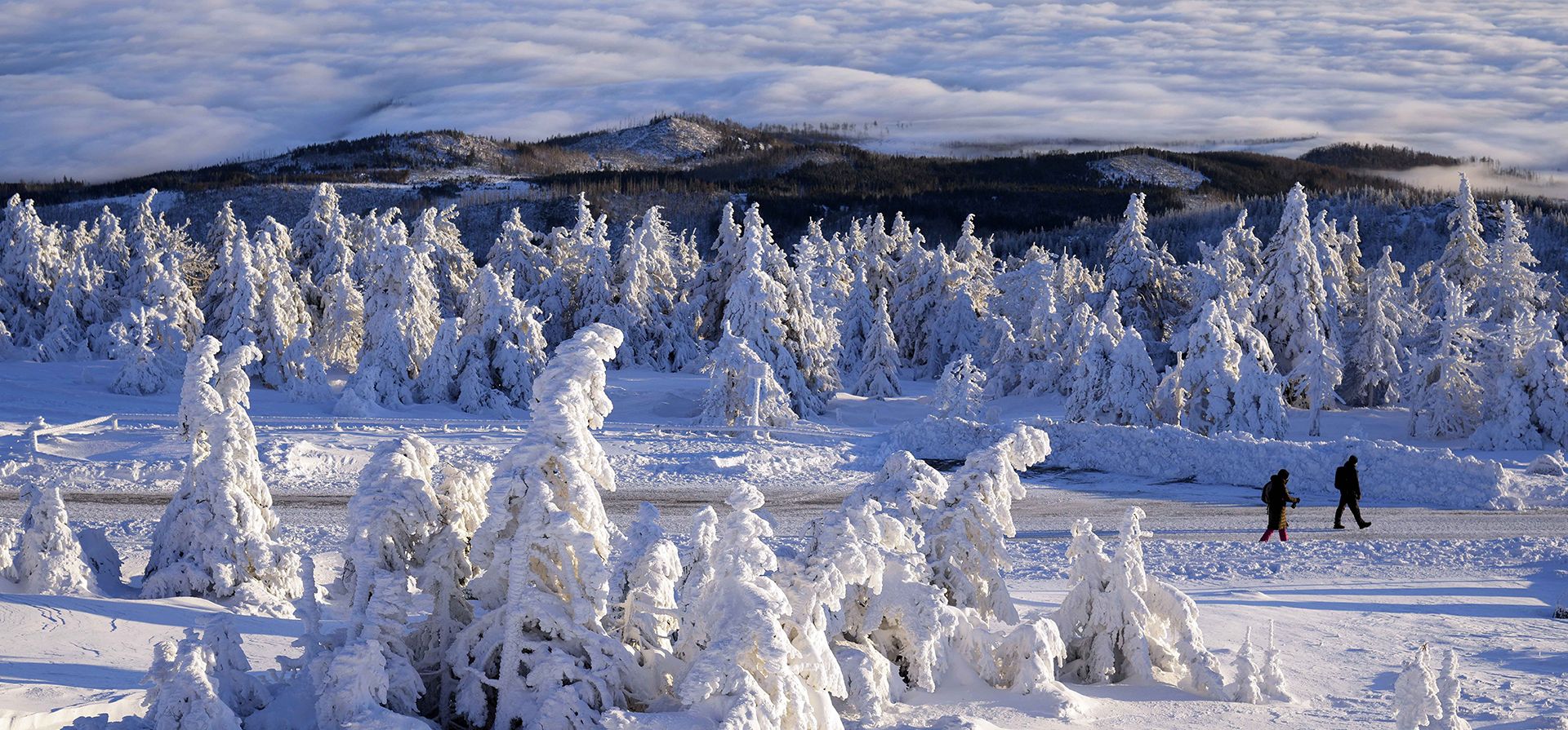 Excursionistas pasan junto a árboles cubiertos de nieve y hielo en la cima del 'Brocken', de 1.142 metros de altura, en las montañas Harz, cerca de Schierke, Alemania, el lunes 13 de enero de 2025. (Foto AP/Matthias Schrader) Excursionistas pasan junto a árboles cubiertos de nieve y hielo en la cima del 'Brocken', de 1.142 metros de altura, en las montañas Harz, cerca de Schierke, Alemania, el lunes 13 de enero de 2025. (Foto AP/Matthias Schrader)