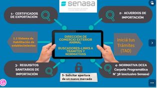 Ingresando a la plataforma se accede a buscadores, descripción de trámites y enlaces para iniciarlos.
