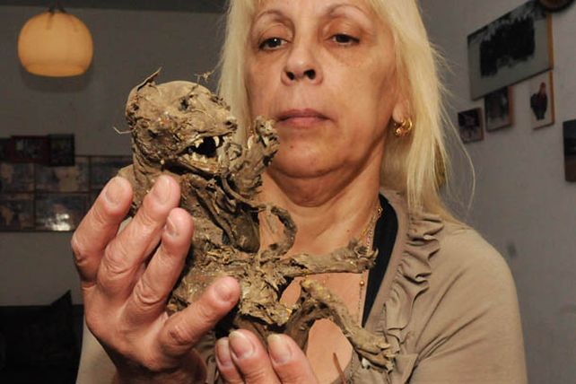 Exhiben restos de un extraño animal parecido al mítico chupacabras