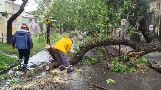 El área de Protección Civil no descansa hasta que termina la emergencia en cada temporal