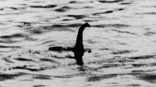 Un científico dijo que descubrió de qué animal se trata el célebre monstruo del Lago Ness