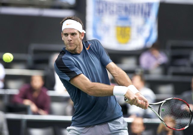 Ganó Del Potro y jugará la final del ATP de Rotterdam