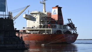 Una mujer se ofreció a adoptar a un niño nigeriano para evitar que lo deporten