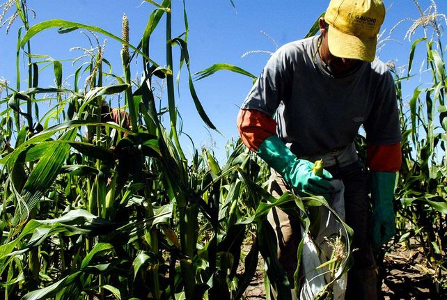 La FAO seleccionó el proyecto de Zavalla como un caso inspirador y por sus características sostenibles