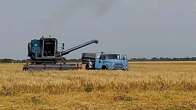 Cosecha ilegal de trigo ucraniano por parte de fuerzas invasoras rusas.&nbsp;