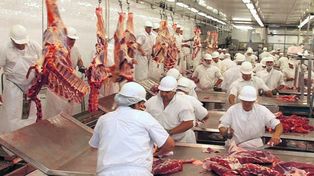 El frigorífico irá poniendo la planta en condiciones y con las pruebas necesarias para cada cadena de producción.&nbsp;