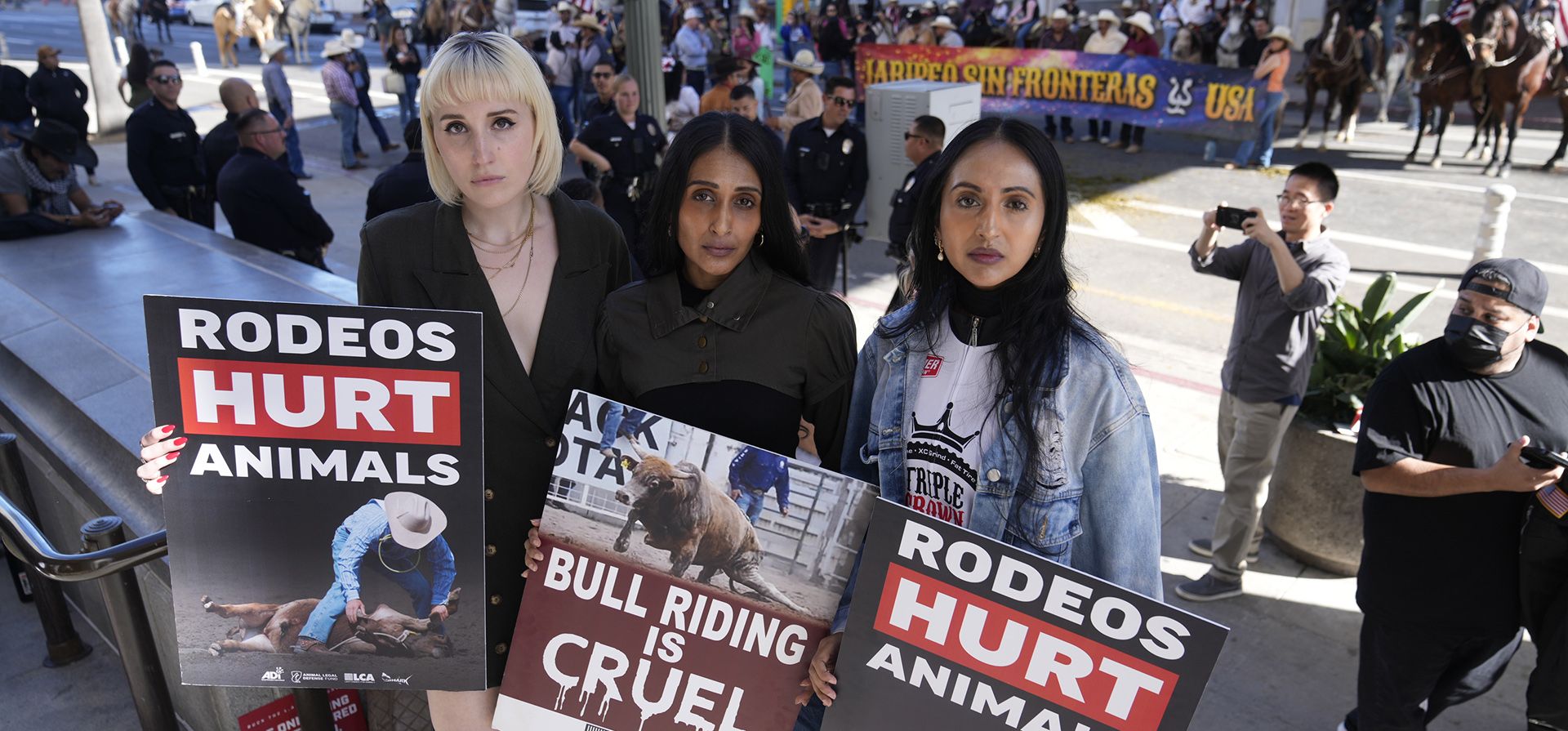 Partidarios de una propuesta de prohibición del rodeo, se unen a una protesta frente al Ayuntamiento mientras se debate una propuesta que los prohíbe en Los Ángeles, el martes 5 de diciembre de 2023. (AP Foto/Damián Dovarganes) Partidarios de una propuesta de prohibición del rodeo, se unen a una protesta frente al Ayuntamiento mientras se debate una propuesta que los prohíbe en Los Ángeles, el martes 5 de diciembre de 2023. (AP Foto/Damián Dovarganes)