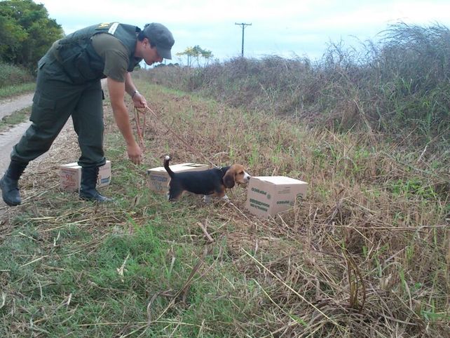 El cuerpo de Guardafaunas Honorarios de Santa Fe incorporó un can a su grupo de trabajo