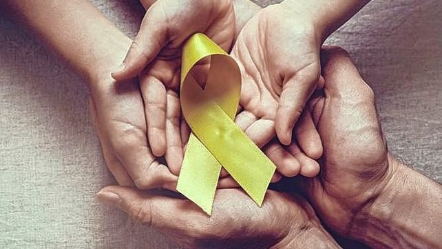 Aprueban ley de oncopediatría que obliga a otorgar cobertura total a obras sociales Aprueban ley de oncopediatría que obliga a otorgar cobertura total a obras sociales