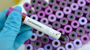 Por la pandemia del coronavirus, se toman varias medidas a nivel nacional