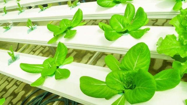 El primer Fondo AgriFoodTech de Triple impacto a nivel mundial es rosarino