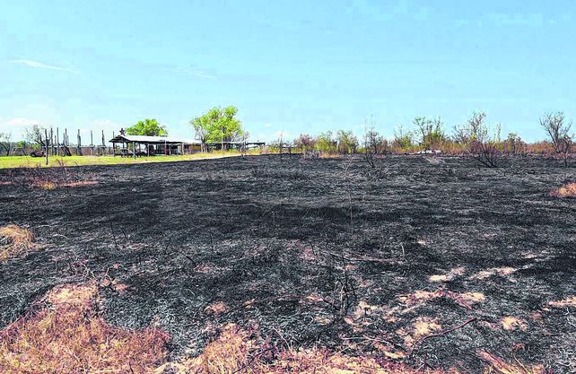 La causa. Los incendios se usan para &ldquo;limpiar&rdquo; de vegetaci&oacute;n el terreno y luego sembrar cultivos extensivos como la soja o pastura para el ganado.