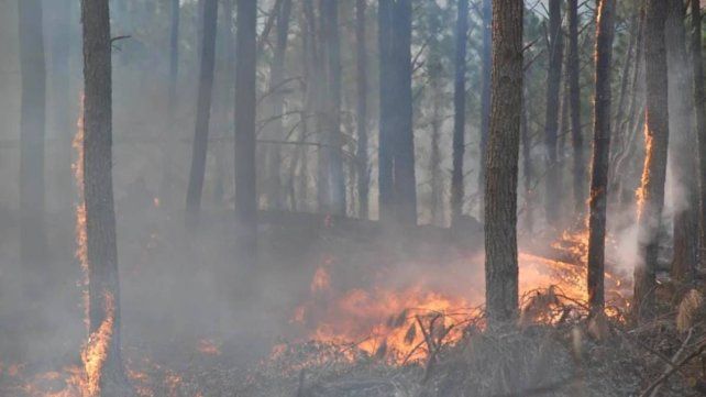 Córdoba: declaran el estado de alerta ambiental por riesgo de incendios