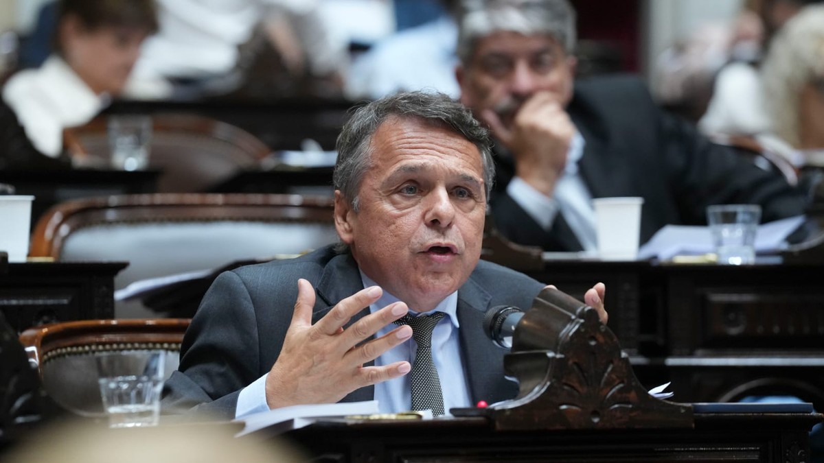 Giuliano advirtió que el fallo de la Corte sobre la ley de tierras es un "freno provisorio"