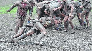 ¿Por qué odiamos a los rugbiers?