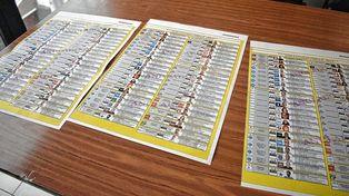 Varios precandidatos no cumplieron con los estánderes que exige el tribunal electoral en cuanto a las fotos para las boletas únicas.&nbsp;