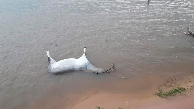 El Temporal también provocó inundaciones en La Paz e Irazusta