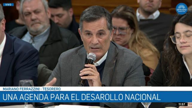 Industriales santafesinos reclamaron en el Senado condiciones para competir ante la apertura económica