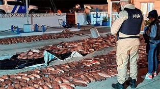 A juicio los acusados del contrabando de pescado y fernet