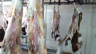 La industria frigorífica en alerta