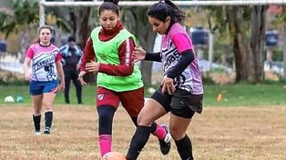 LPF: en busca de una buena Selección