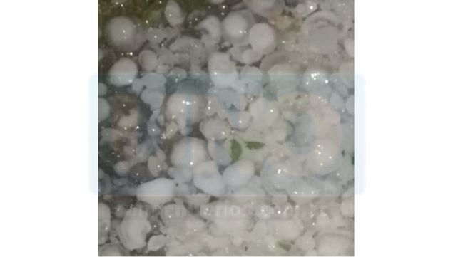 Granizo causó graves daños en Colonia Merou e inmediaciones