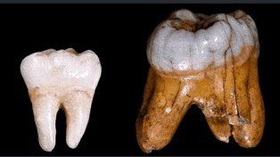 Hallan huesos de denisovanos gigantes en Taiwán y reavivan teorías sobre los Nefilim bíblicos