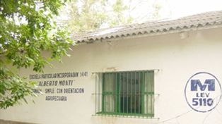 Vandalismo: destruyeron la huerta y el trabajo de los alumnos de la escuela Alberto Monti