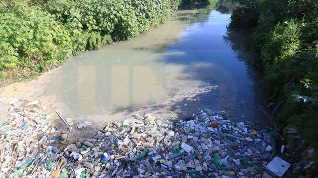 Un asco. La basura se acumula y el agua llega marrón y verde oscura.