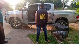 La camioneta secuestrada en una finca rural de San Genaro y que fue la que conducía el tirador apresado.