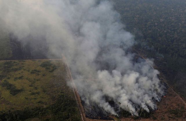 El humo de los incendios en el Amazonas podría llegar a la ciudad