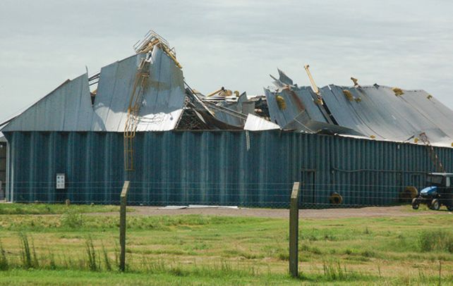 Planta cerealera. Las fuertes ráfagas derribaron la noria y destrozaron silos y una celda de Agricultores Federado Argentinos de Rufino.