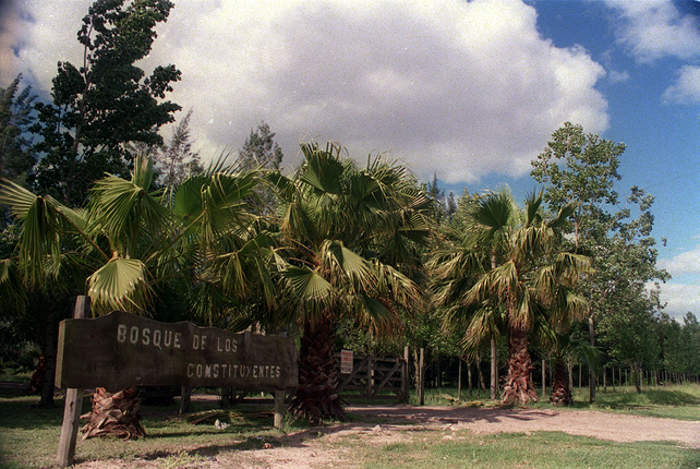 El Bosque de los Constituyentes fue revalorizado en el pasado reciente.