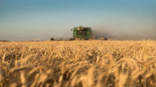 El campo en la balanza: retenciones, soja y el futuro que se siembra hoy