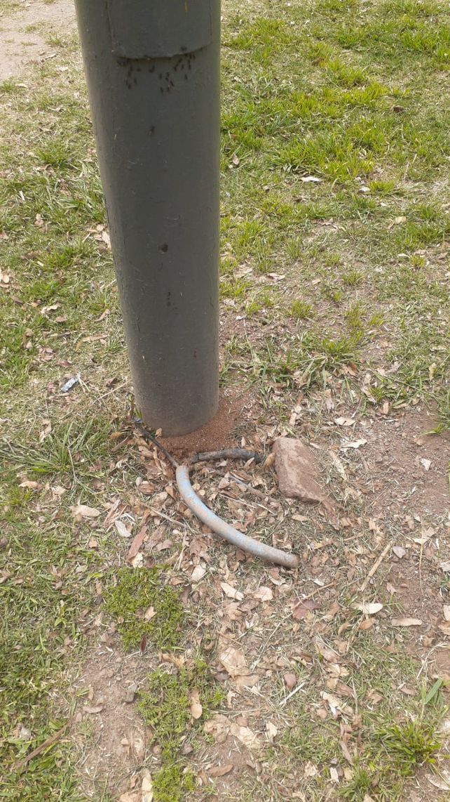 Denuncian que el Parque Independencia quedó arrasado por el vandalismo