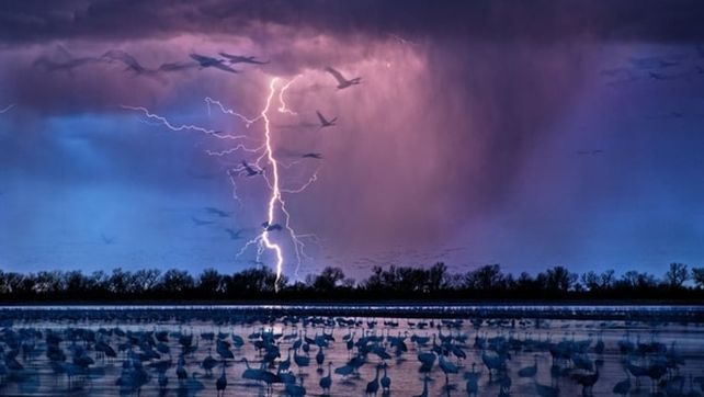 National Geographic presentó sus mejores fotografías de vida salvaje