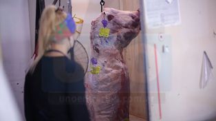 La desocupación en mujeres jóvenes se redujo pero creció la informalidad