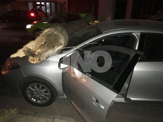 Una pesada rama cayó sobre dos autos en barrio Constituyentes